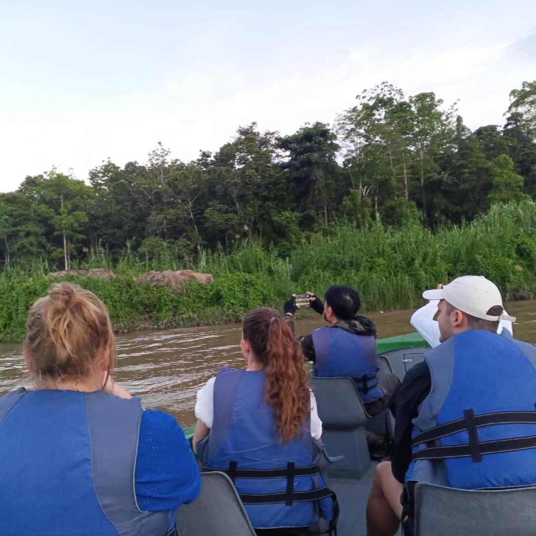 Borneo Jungle Adventure Villa Kinabatangan Kültér fotó