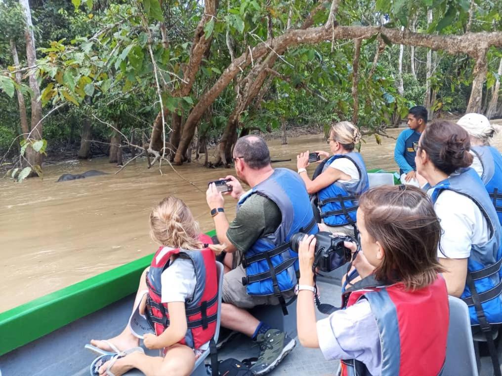 Borneo Jungle Adventure Villa Kinabatangan Kültér fotó