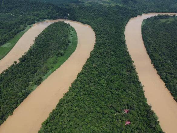 Borneo Jungle Adventure Villa Kinabatangan Kültér fotó