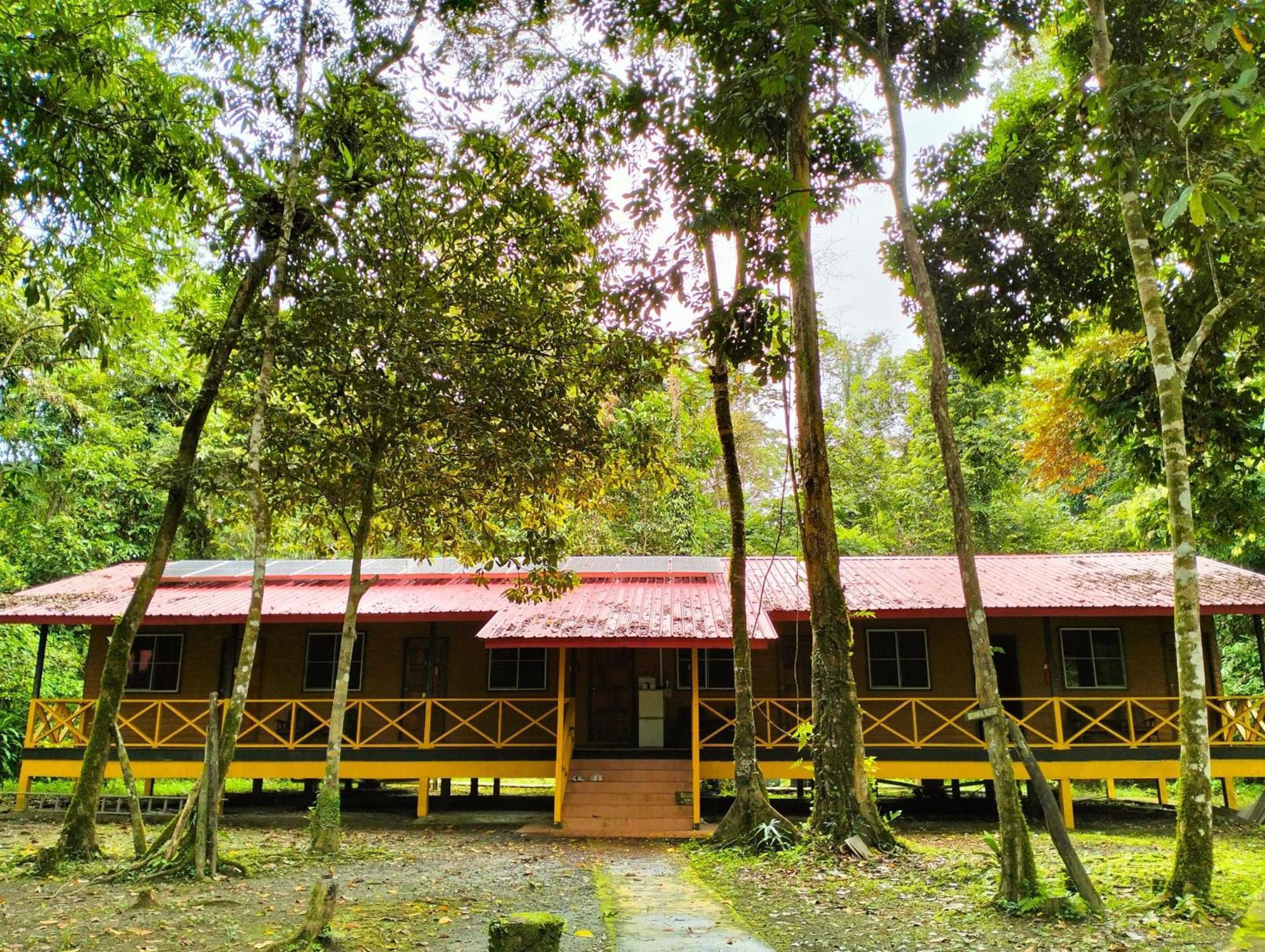 Borneo Jungle Adventure Villa Kinabatangan Kültér fotó