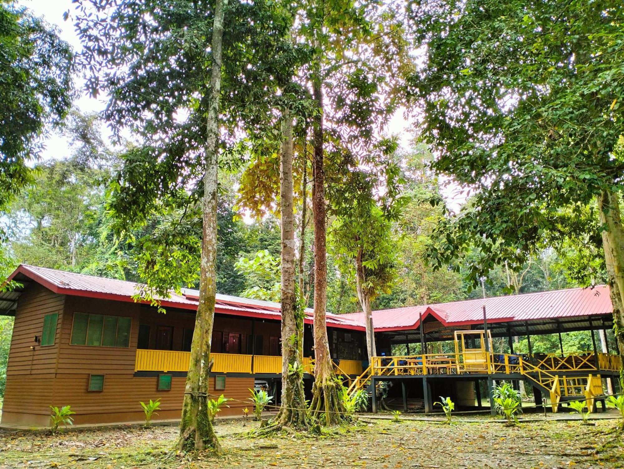 Borneo Jungle Adventure Villa Kinabatangan Kültér fotó