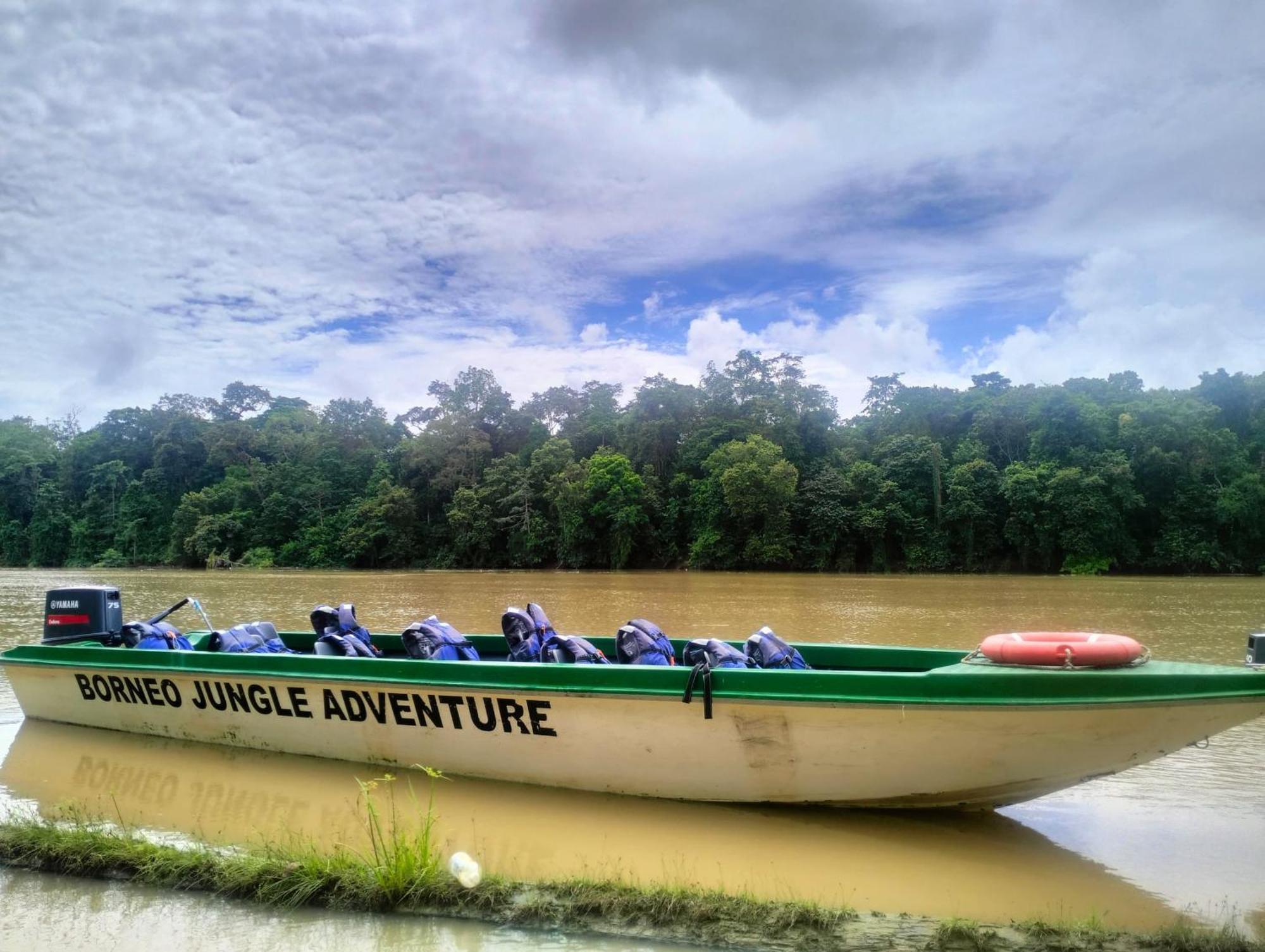 Borneo Jungle Adventure Villa Kinabatangan Kültér fotó