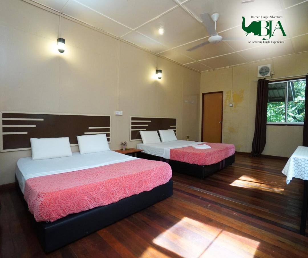 Borneo Jungle Adventure Villa Kinabatangan Kültér fotó