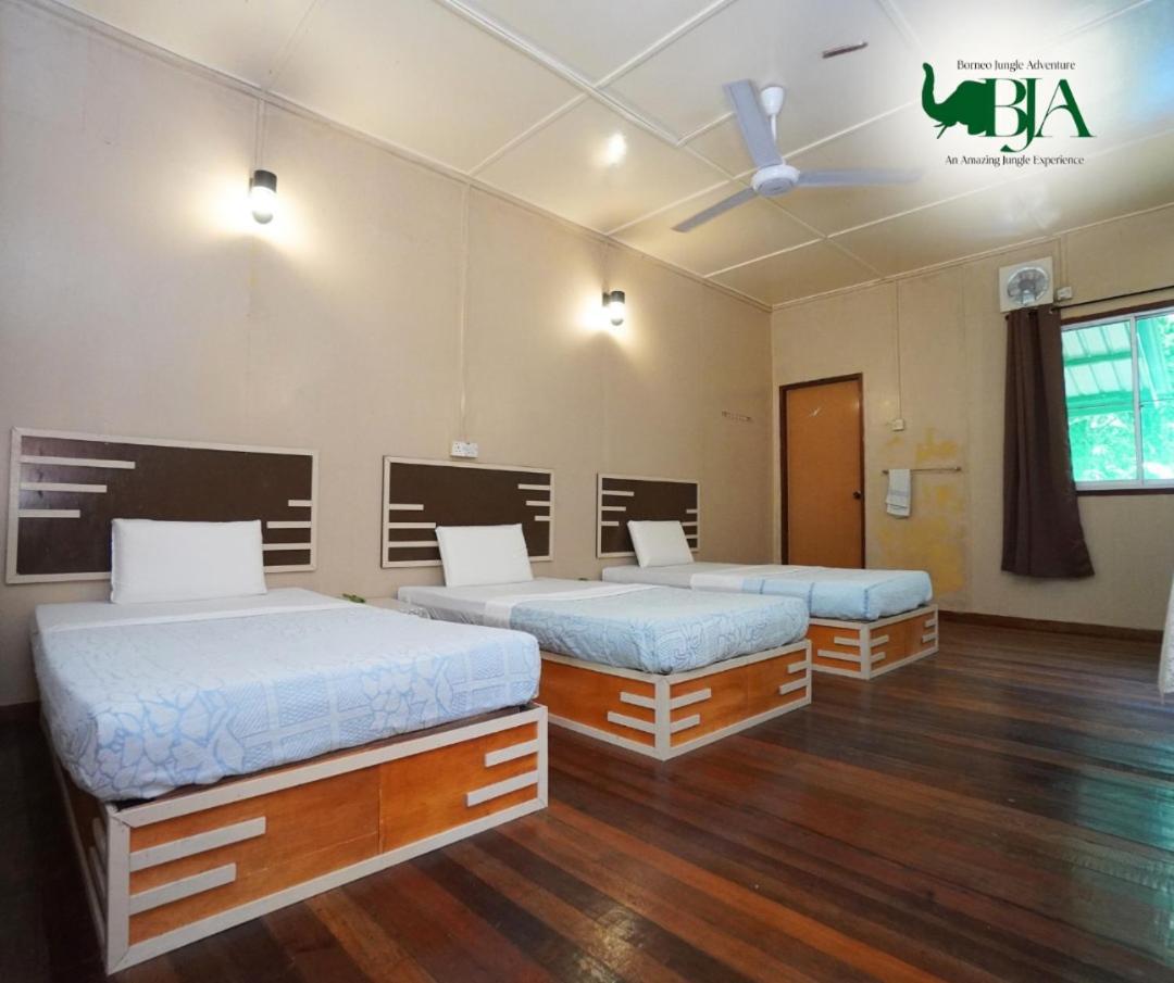 Borneo Jungle Adventure Villa Kinabatangan Kültér fotó