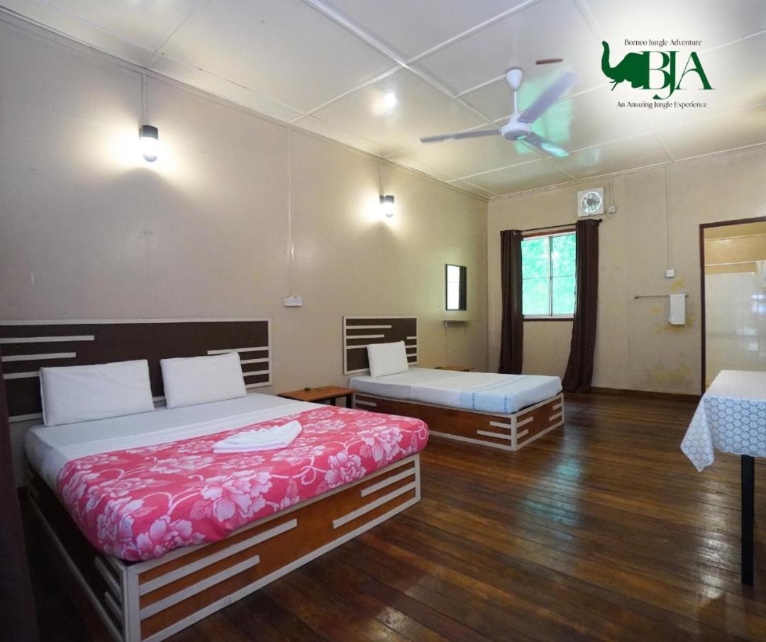 Borneo Jungle Adventure Villa Kinabatangan Kültér fotó