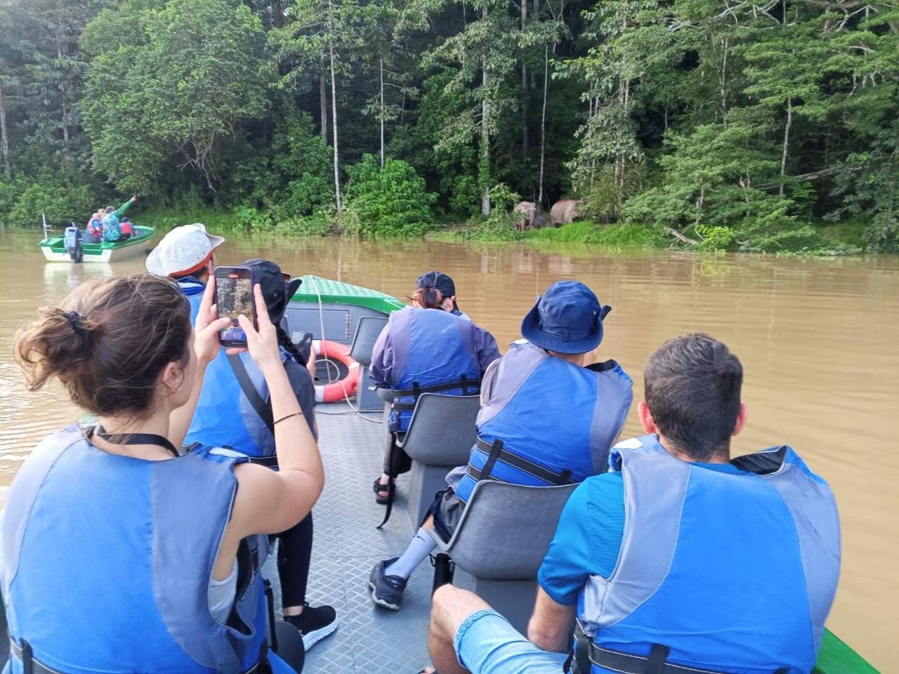 Borneo Jungle Adventure Villa Kinabatangan Kültér fotó